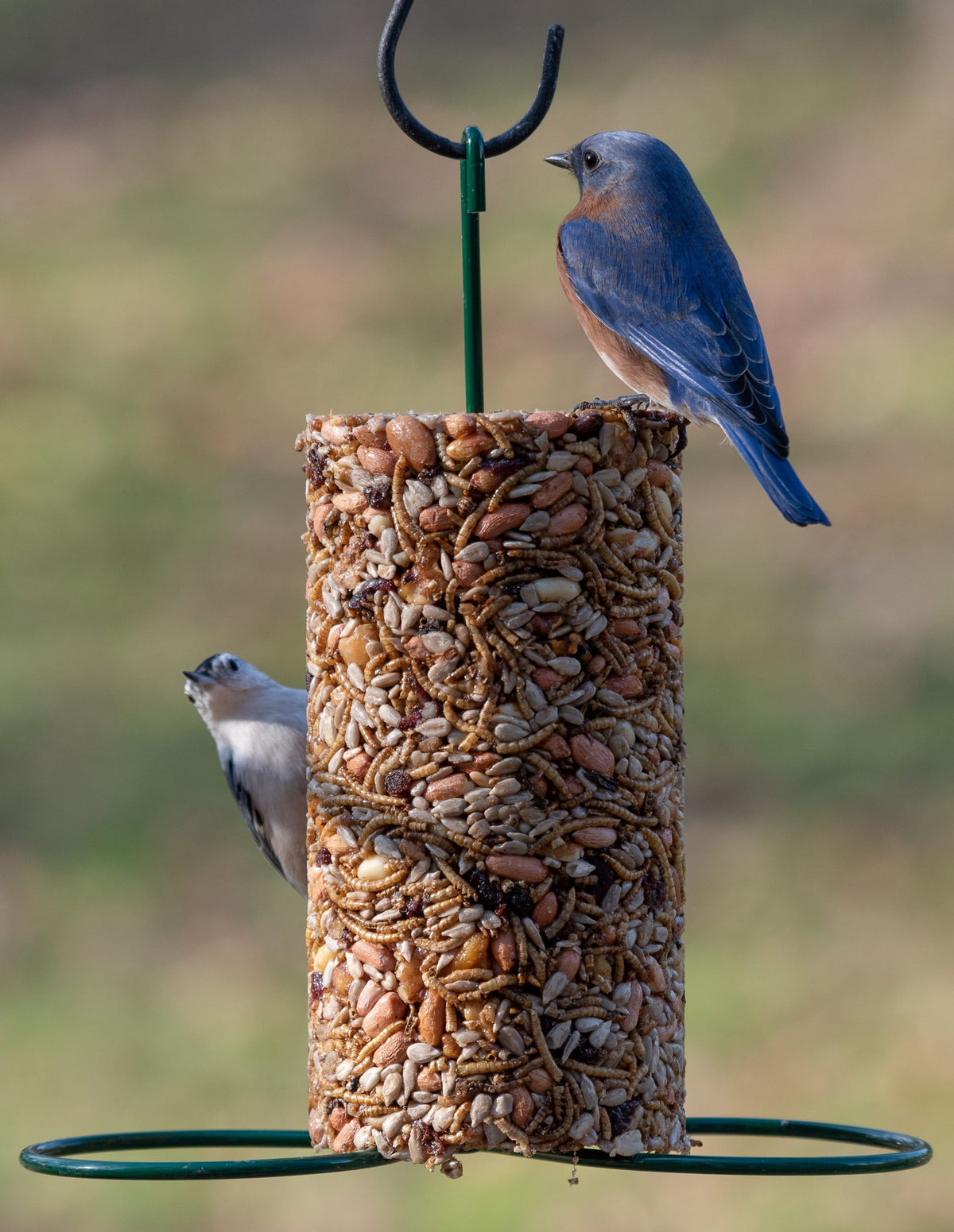 Burning Love Small Birdseed Cylinder