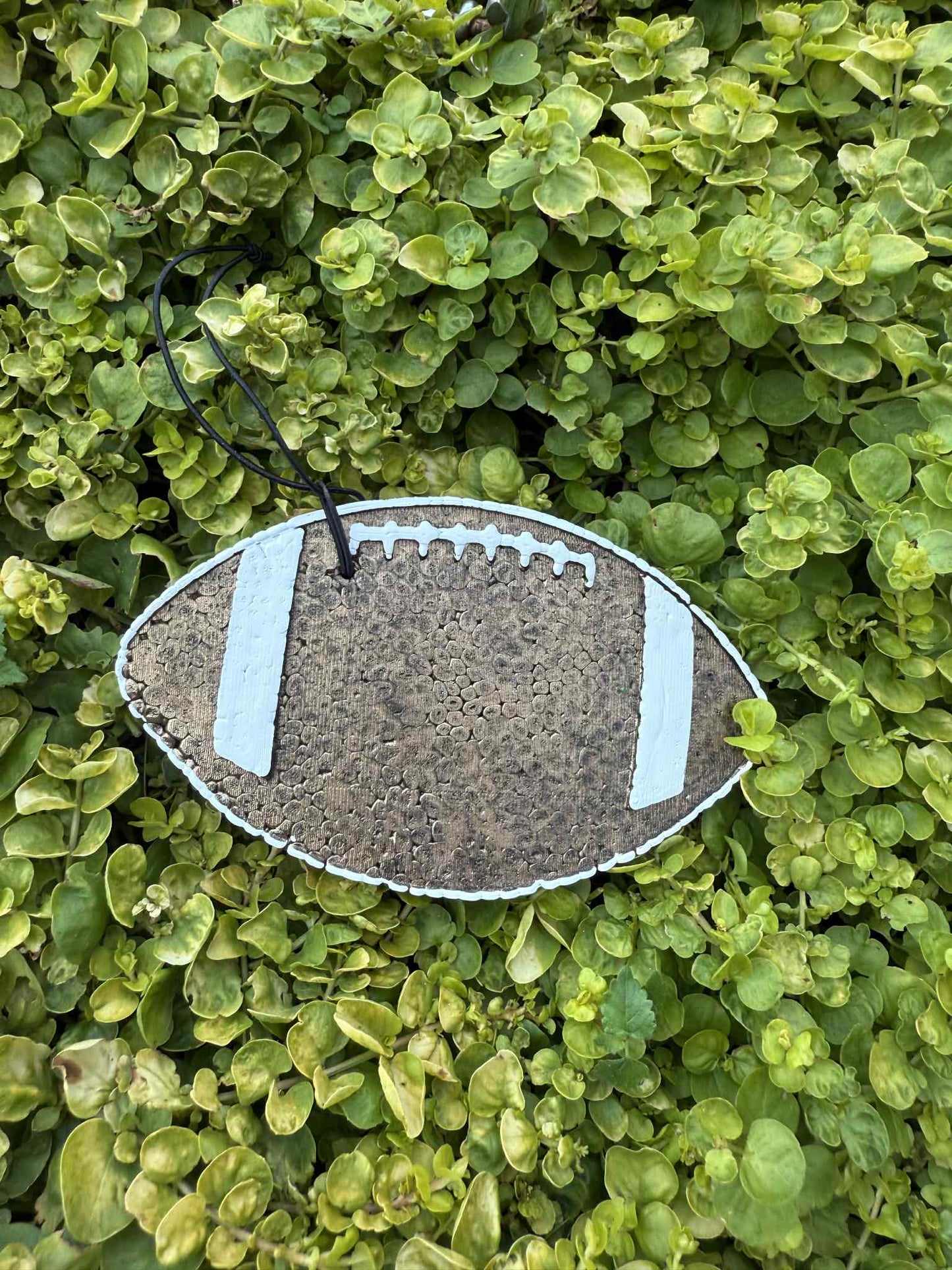 Football-shaped freshie on a green leafy background