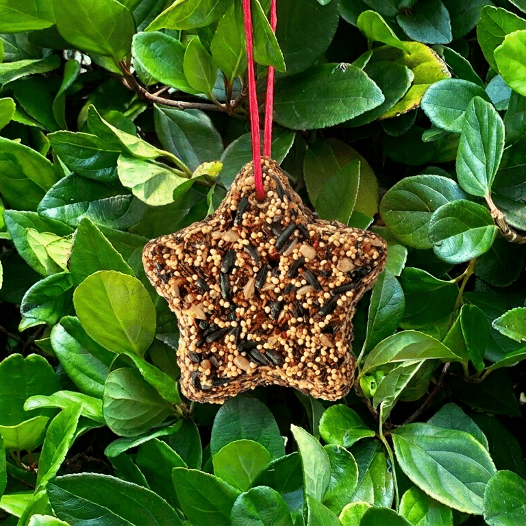 Little Star Birdseed Cake Ornament