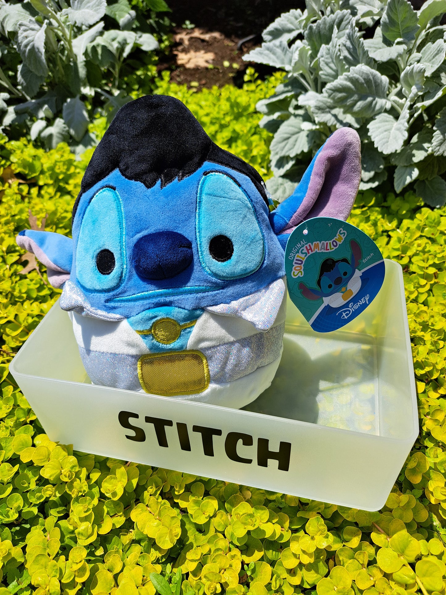 Stitch Box - Freshie - Squishmallow - Bracelet - Stickers