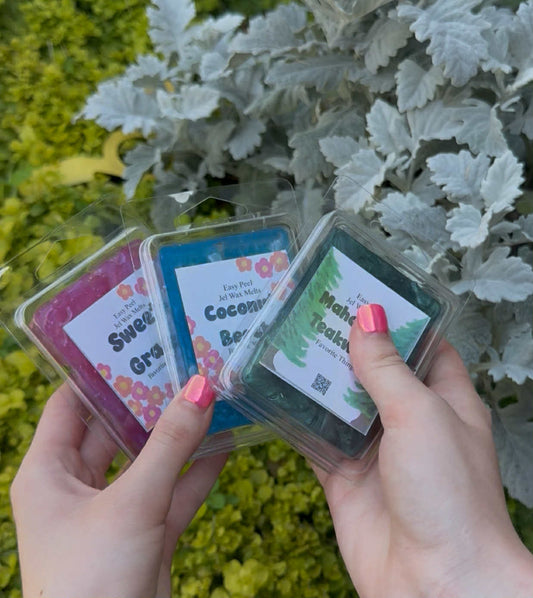Hands holding wax melts with labels in front of greenery
