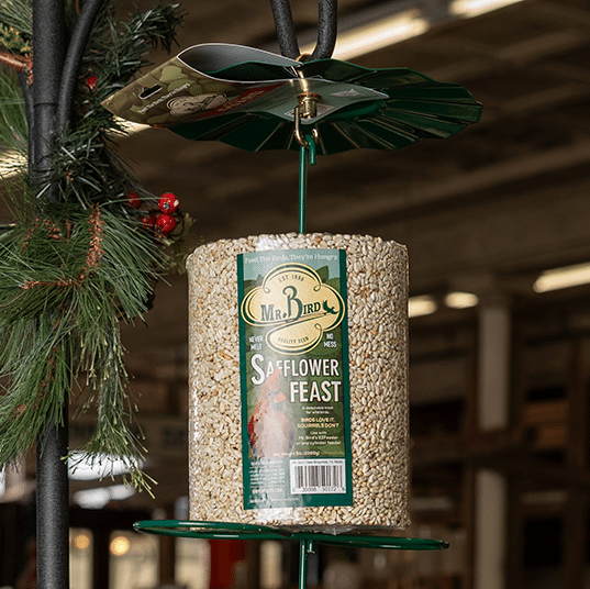 Rain Guard for Birdseed Feeders