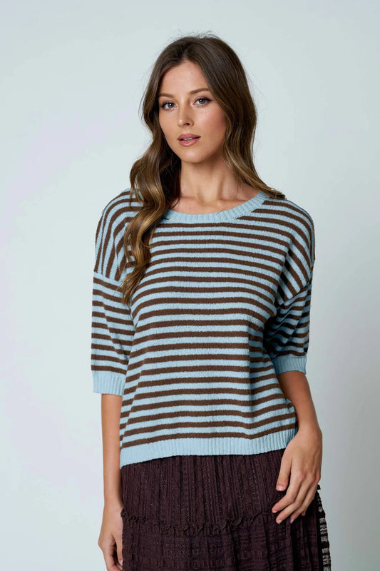 Dusty Blue Stripe Short Sleeve Sweater - Button Back