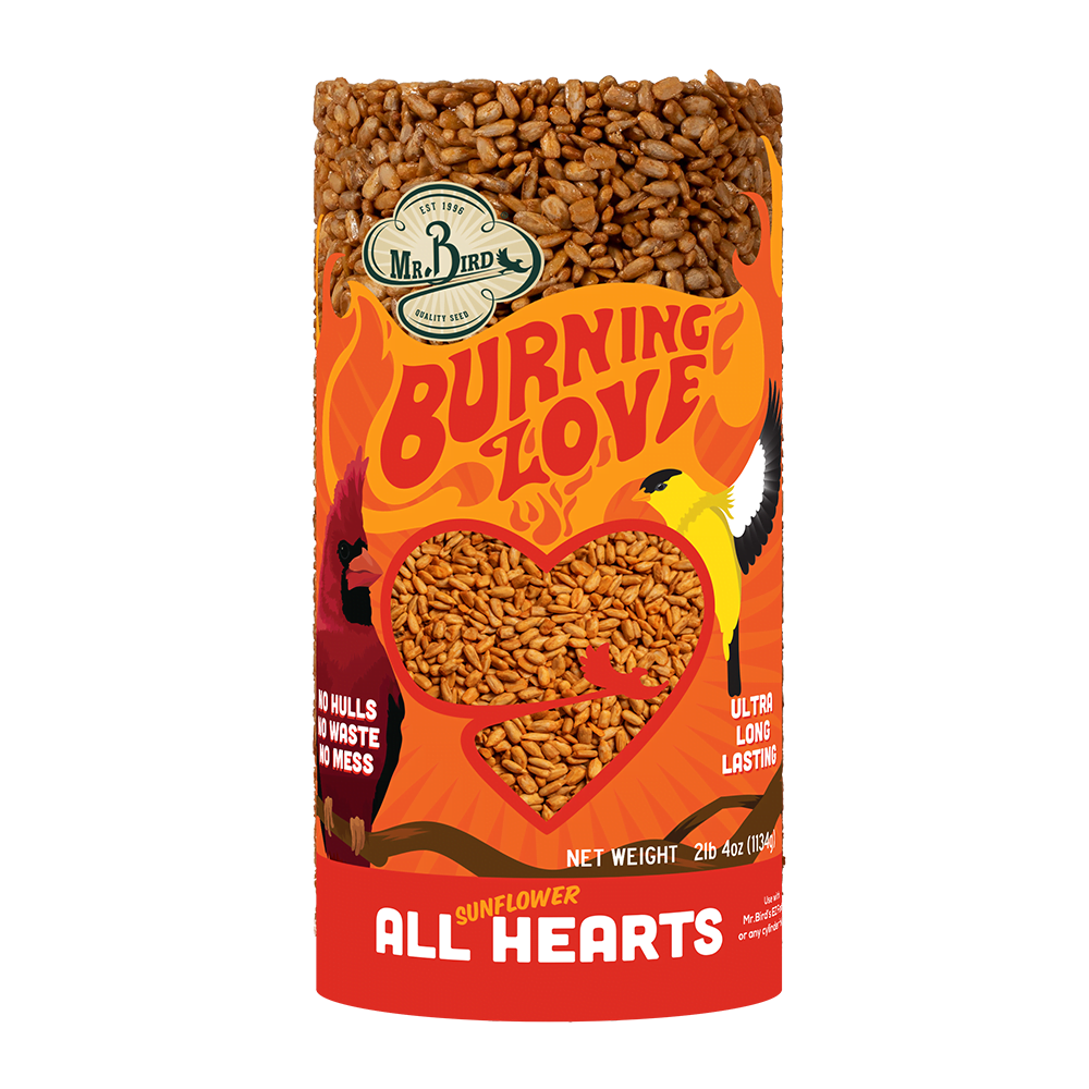 Burning Love Small Birdseed Cylinder