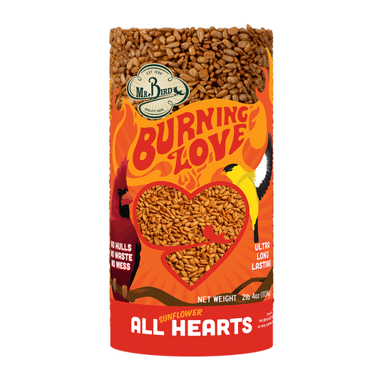 Burning Love Small Birdseed Cylinder