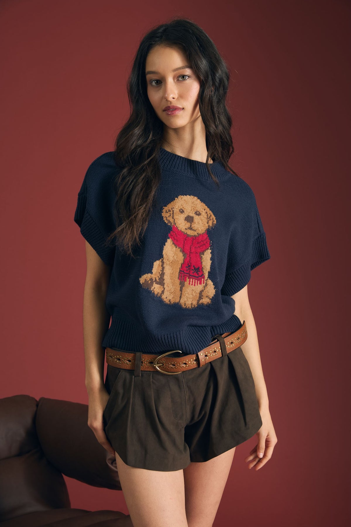Navy Puppy Jacquard Short Sleeve Knit Sweater