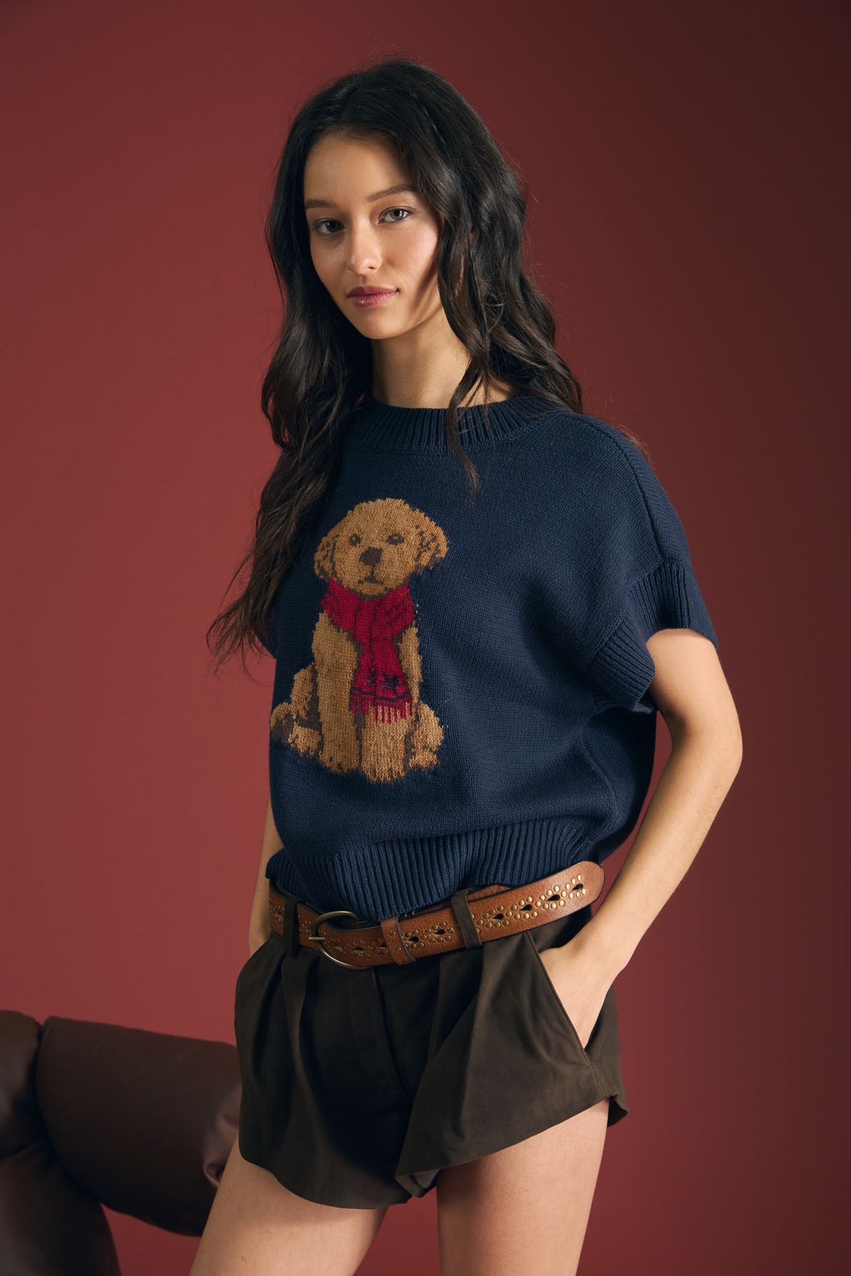 Navy Puppy Jacquard Short Sleeve Knit Sweater