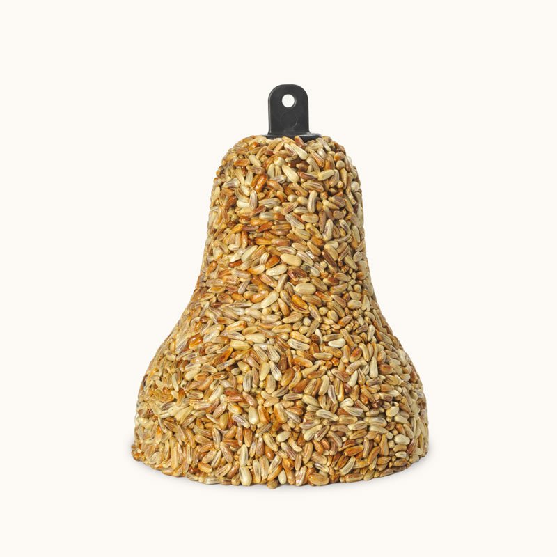 Golden Safflower Bell