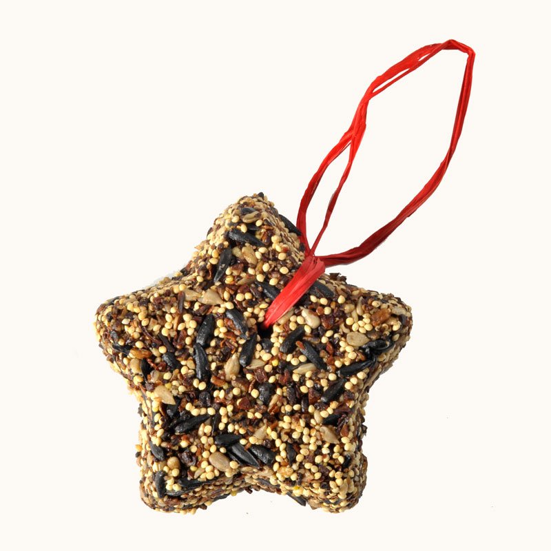 Little Star Birdseed Cake Ornament